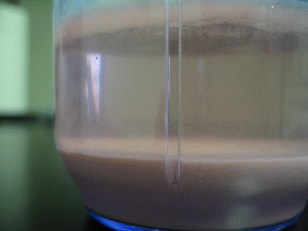 synthesising dmt The poor mans dmt extraction guide - a 100% fat free, food safe, grocery store solution to dmt extraction by spiceman several members here at the nexus have been asking me for sometime now to give this method of extraction a write up. synthesising dmt The poor mans dmt extraction guide - a 100% fat free, food safe, grocery store solution to dmt extraction by spiceman several members here at the nexus have been asking me for sometime now to give this method of extraction a write up.