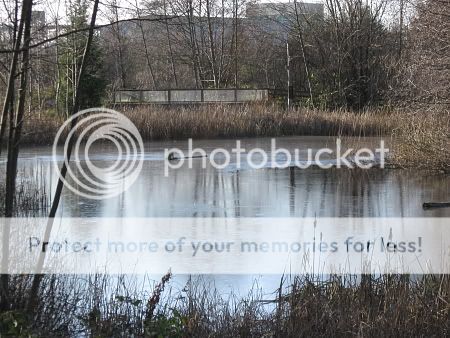 The view from the easternmost West Pond lookout