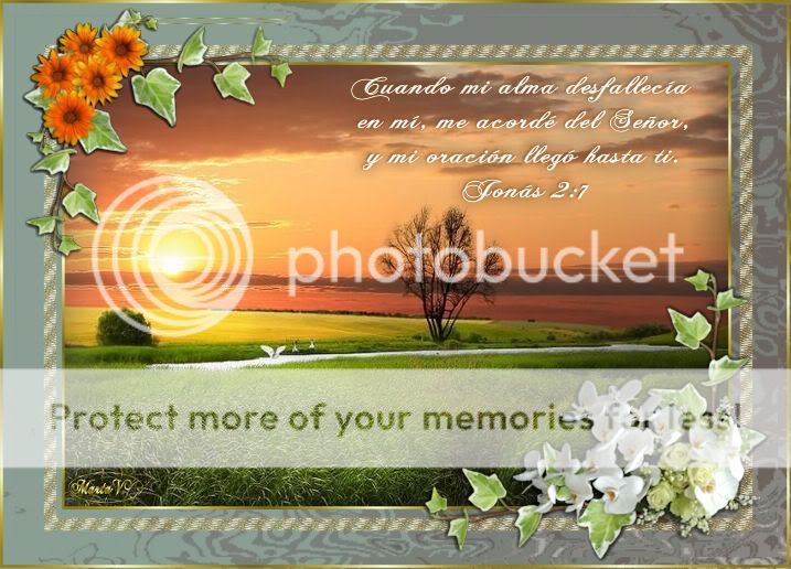 http://i871.photobucket.com/albums/ab274/marievargas/setsdefondos/CJonas27F.jpg