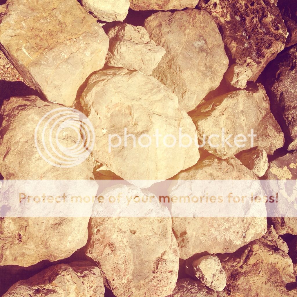 Uploaded from the Photobucket iPhone App