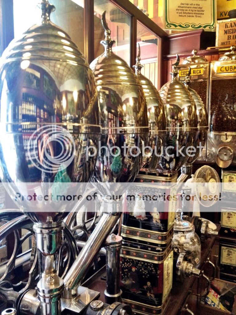Uploaded from the Photobucket iPhone App
