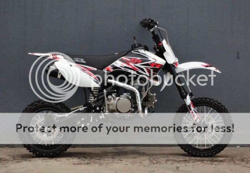 terminator 110cc pit bike