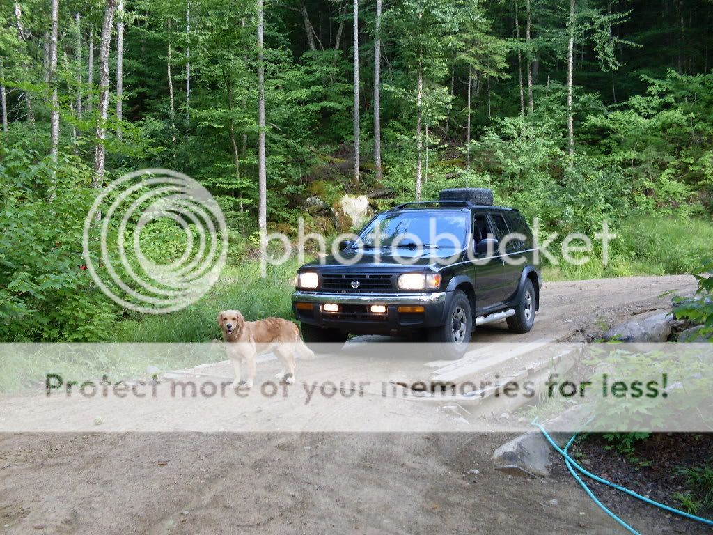 SDC10604.jpg