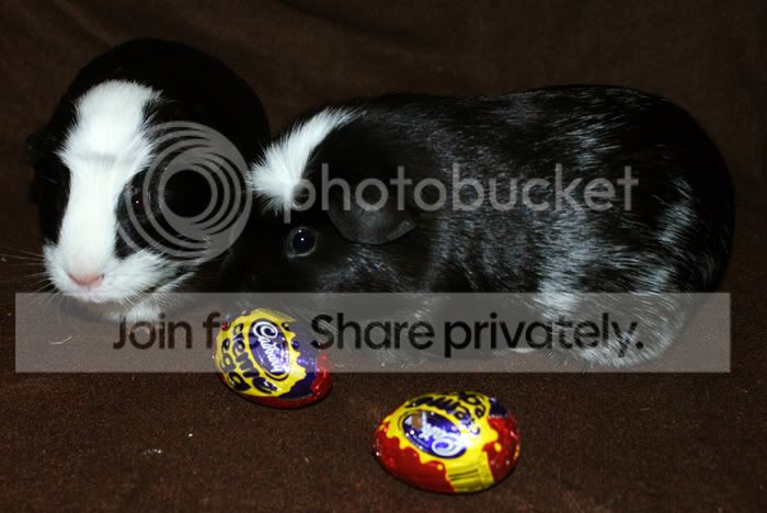 easter2.jpg