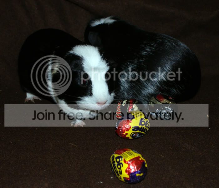 easter3.jpg